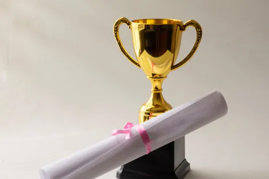 业界观察家